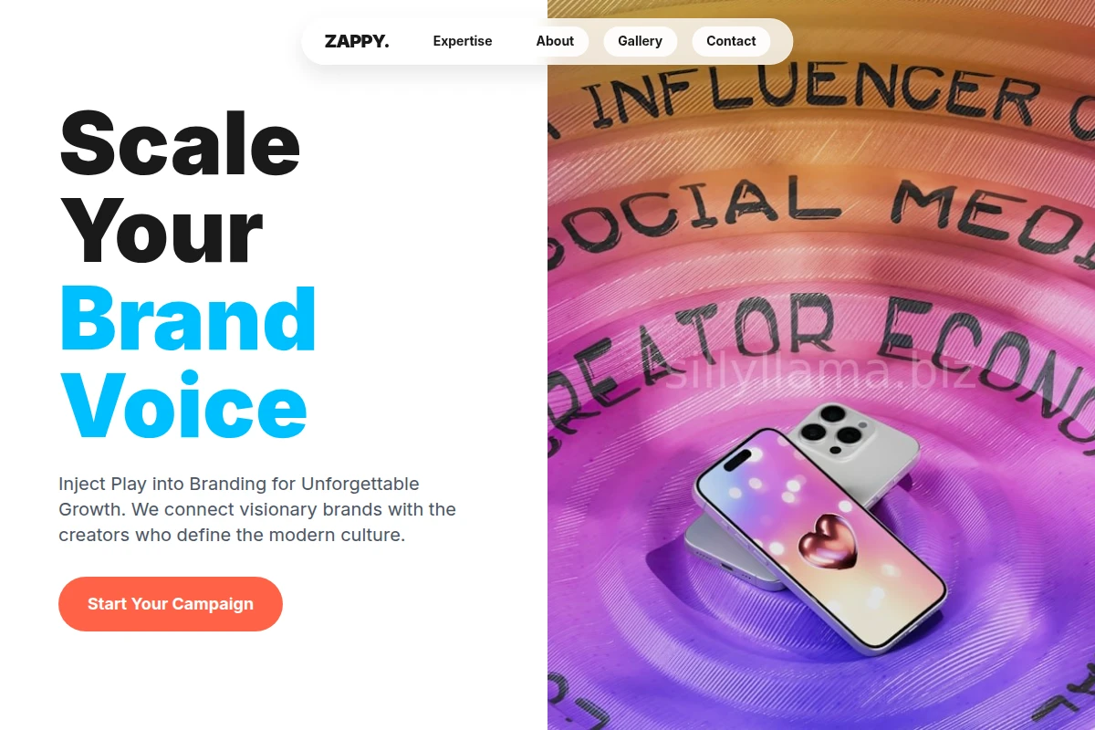 Zappy Influencer Marketing