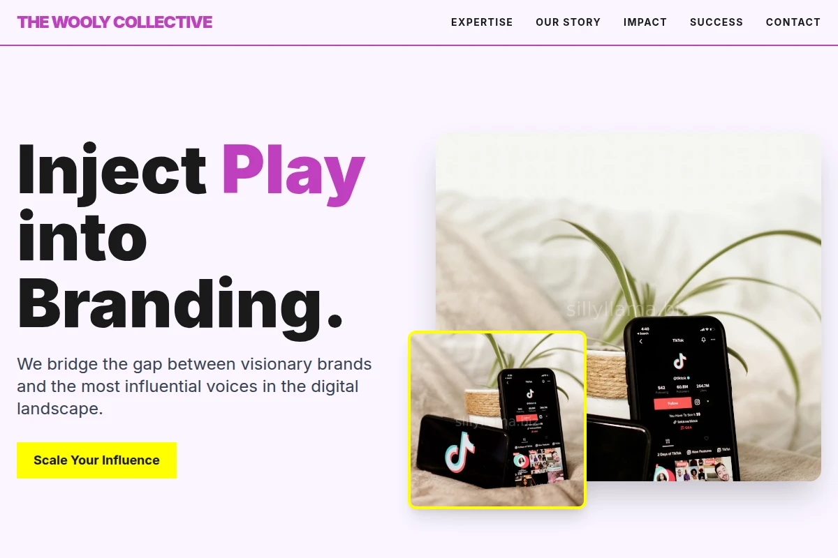 Bold Influencer Marketing