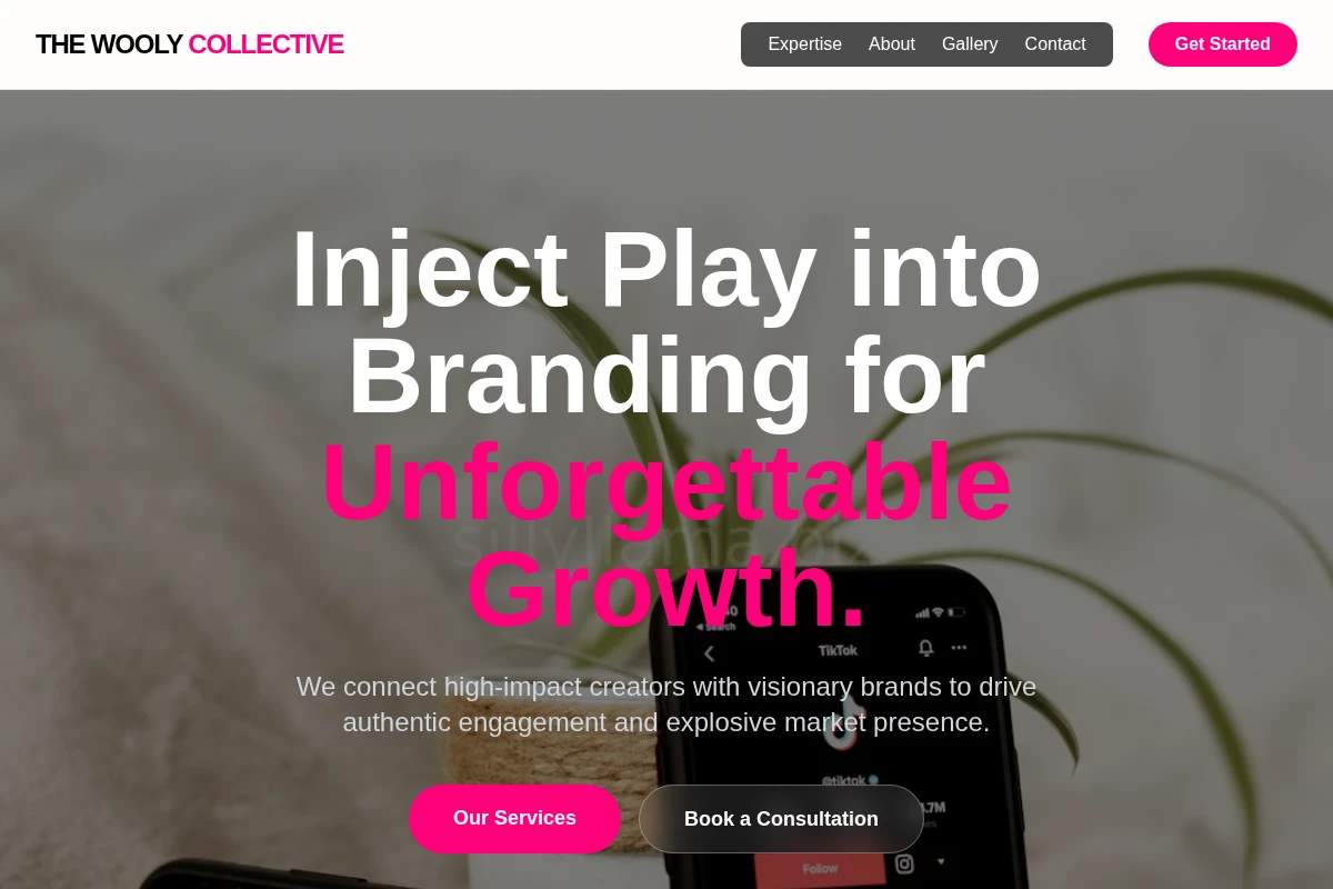 Luminous Influencer Marketing